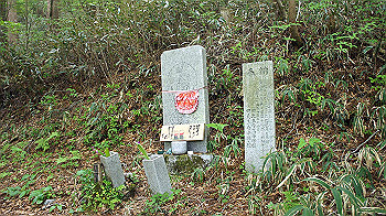 dsc00078_thumb.jpg