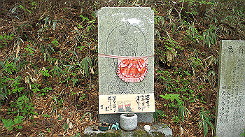 dsc00079_thumb.jpg