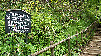 dsc00088_thumb.jpg