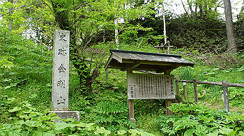 dsc00092_thumb.jpg