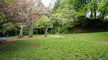 dsc00094_thumb.jpg