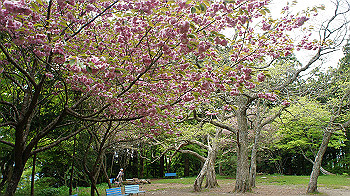 dsc00095_thumb.jpg