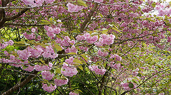 dsc00097_thumb.jpg