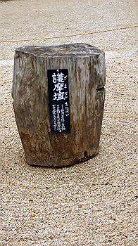 dsc00122_thumb.jpg
