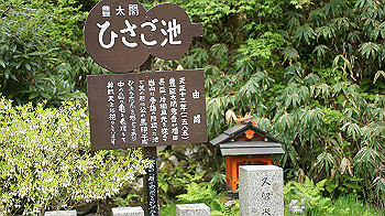 dsc00128_thumb.jpg