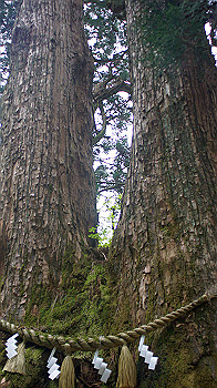 dsc00143_thumb.jpg