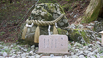 dsc00146_thumb.jpg