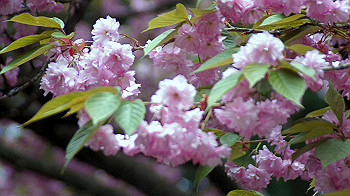 dsc00159_thumb.jpg