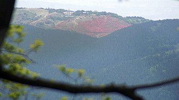 dsc00167_thumb.jpg
