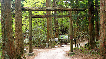 dsc00168_thumb.jpg