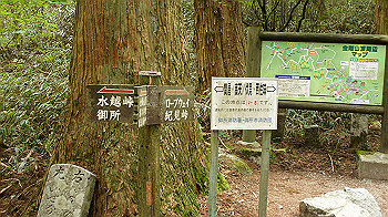 dsc00169_thumb.jpg