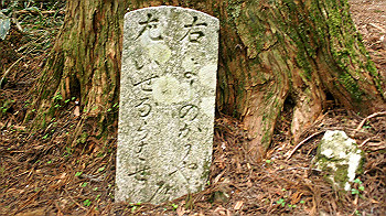 dsc00173_thumb.jpg