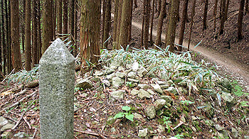 dsc00188_thumb.jpg