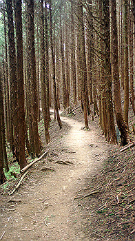 dsc00192_thumb.jpg