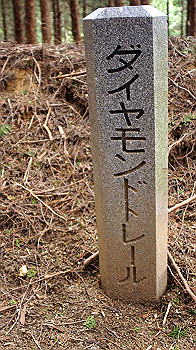 dsc00193_thumb.jpg