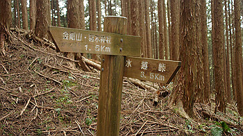 dsc00194_thumb.jpg