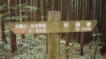 dsc00196_thumb.jpg