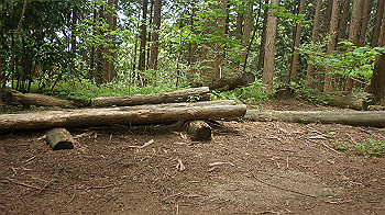 dsc00200_thumb.jpg
