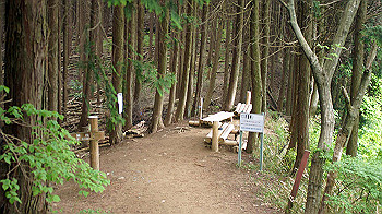 dsc00202_thumb.jpg