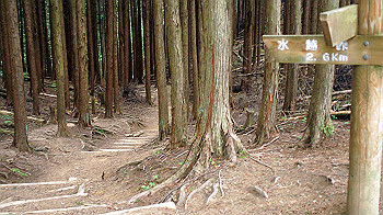 dsc00204_thumb.jpg