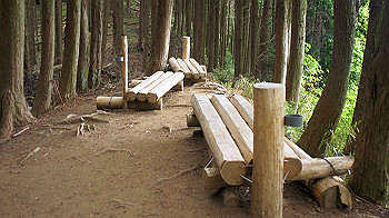 dsc00205_thumb.jpg
