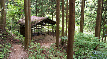 dsc00214_thumb.jpg