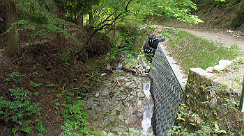 dsc00218_thumb.jpg