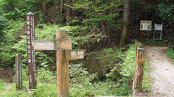 dsc00219_thumb.jpg