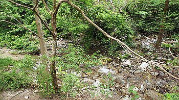 dsc00221_thumb.jpg