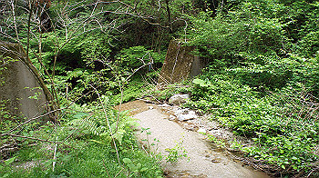 dsc00224_thumb.jpg