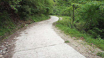 dsc00226_thumb.jpg