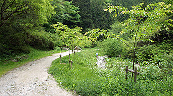 dsc00227_thumb.jpg