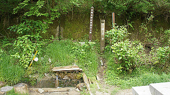 dsc00228_thumb.jpg