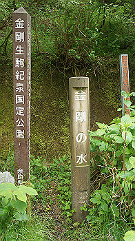 dsc00229_thumb.jpg