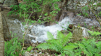 dsc00234_thumb.jpg