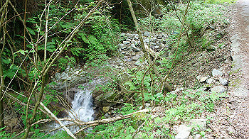 dsc00235_thumb.jpg