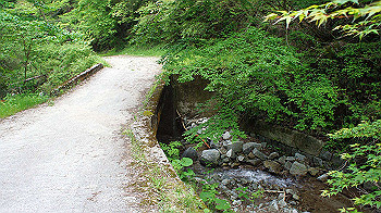 dsc00237_thumb.jpg