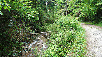 dsc00239_thumb.jpg
