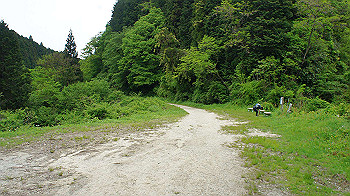 dsc00243_thumb.jpg