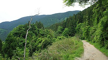 dsc00244_thumb.jpg