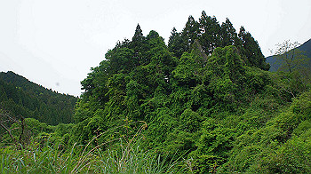dsc00245_thumb.jpg