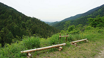 dsc00246_thumb.jpg