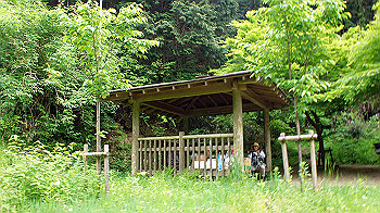 dsc00248_thumb.jpg