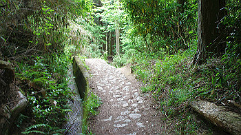 dsc00257_thumb.jpg