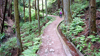 dsc00258_thumb.jpg