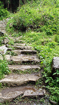 dsc00260_thumb.jpg