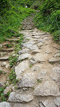 dsc00261_thumb.jpg