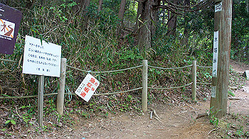 dsc00269_thumb.jpg