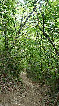 dsc00270_thumb.jpg