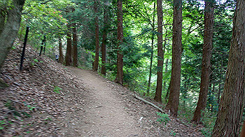 dsc00272_thumb.jpg
